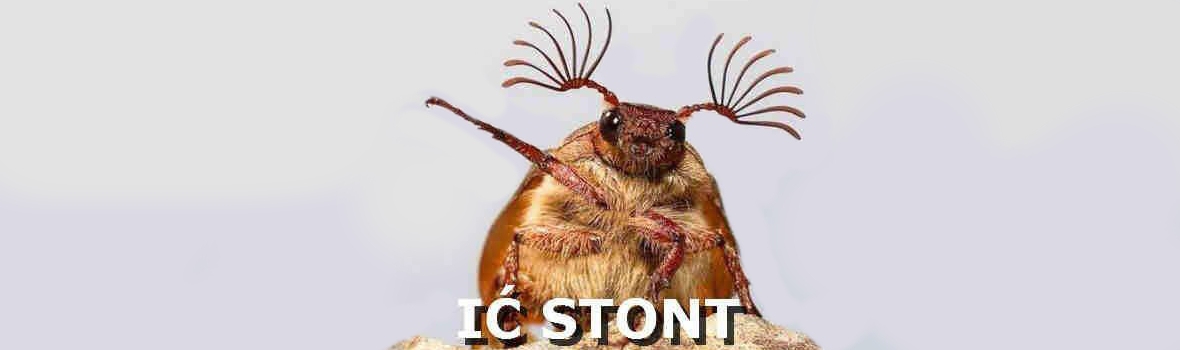 IĆ STONT