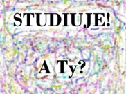 studiujemy