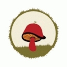grzybole