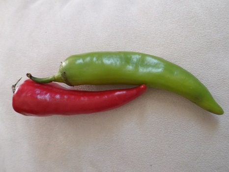 Koszulki z warzywami, nie tylko dla hipsterów