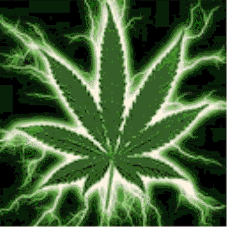 MarihuanaLogoGanja