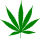 CANNABIS STORE