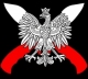 Antyislamizacja w Polsce