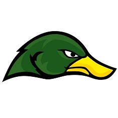 Green Ducks Radom