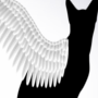 angel22